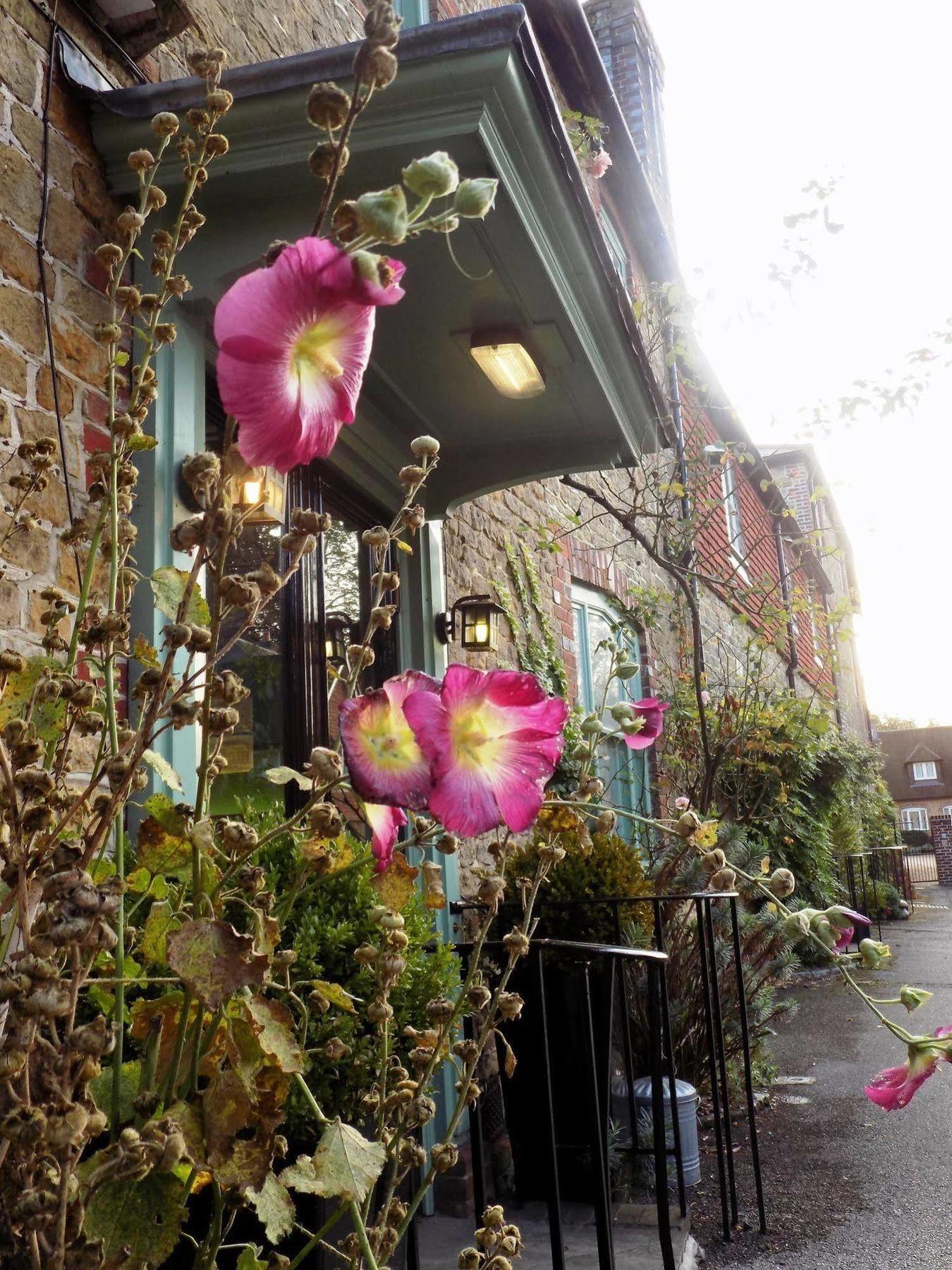 The Angel B&B Chichester Exteriér fotografie